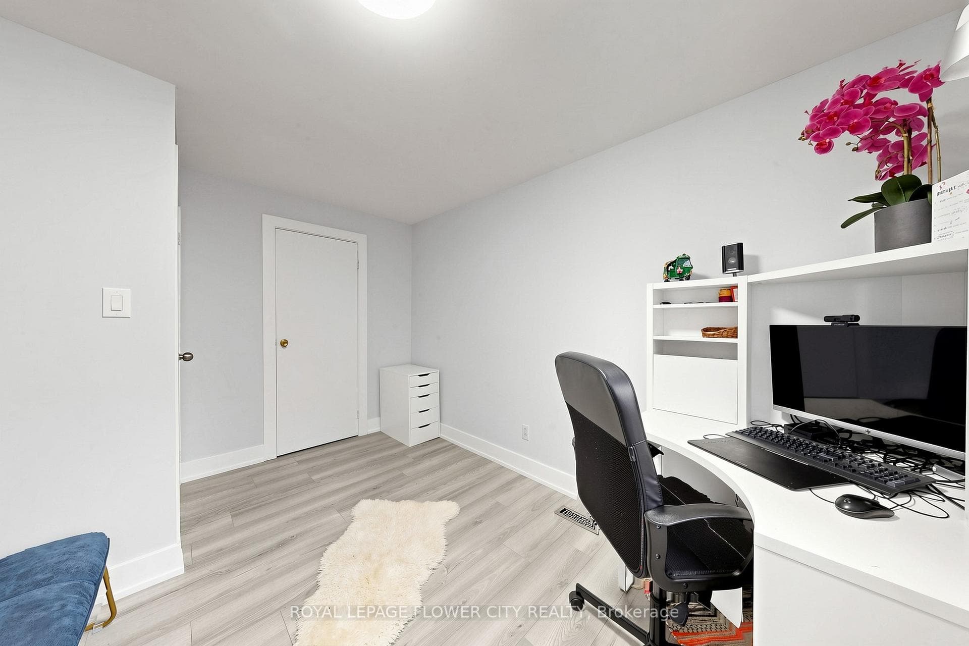 206 Mcmurchy Avenue - Detached photo 35 of 50 in Brampton, Ontario