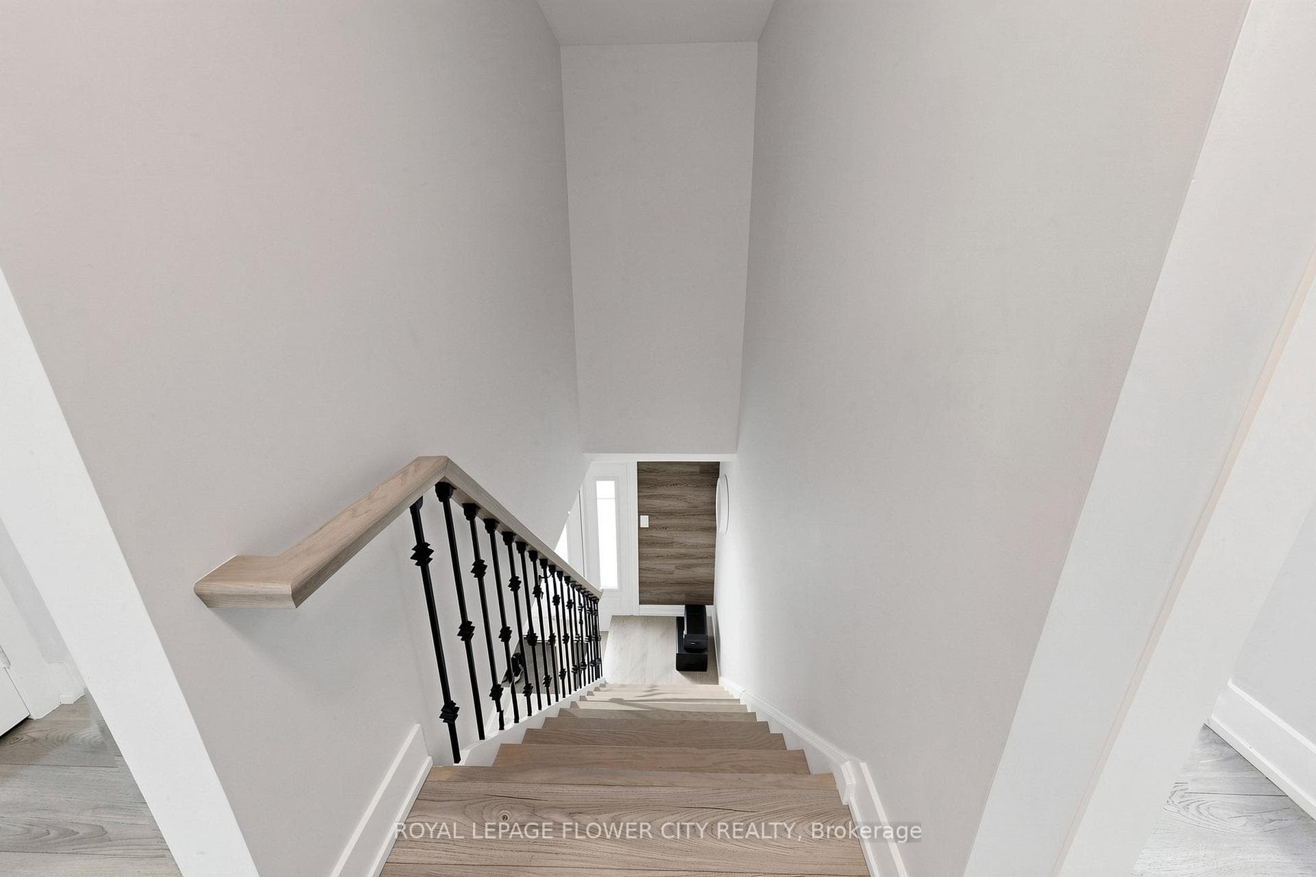 206 Mcmurchy Avenue - Detached photo 25 of 50 in Brampton, Ontario