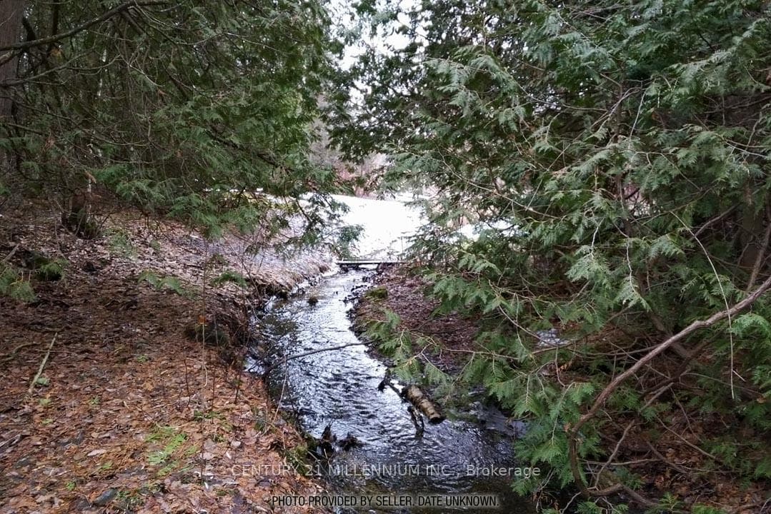18599 Horseshoe Hill Road - Detached photo 42 of 48 in Caledon, Ontario