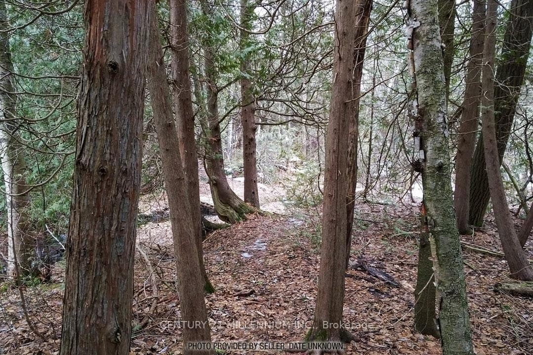 18599 Horseshoe Hill Road - Detached photo 43 of 48 in Caledon, Ontario