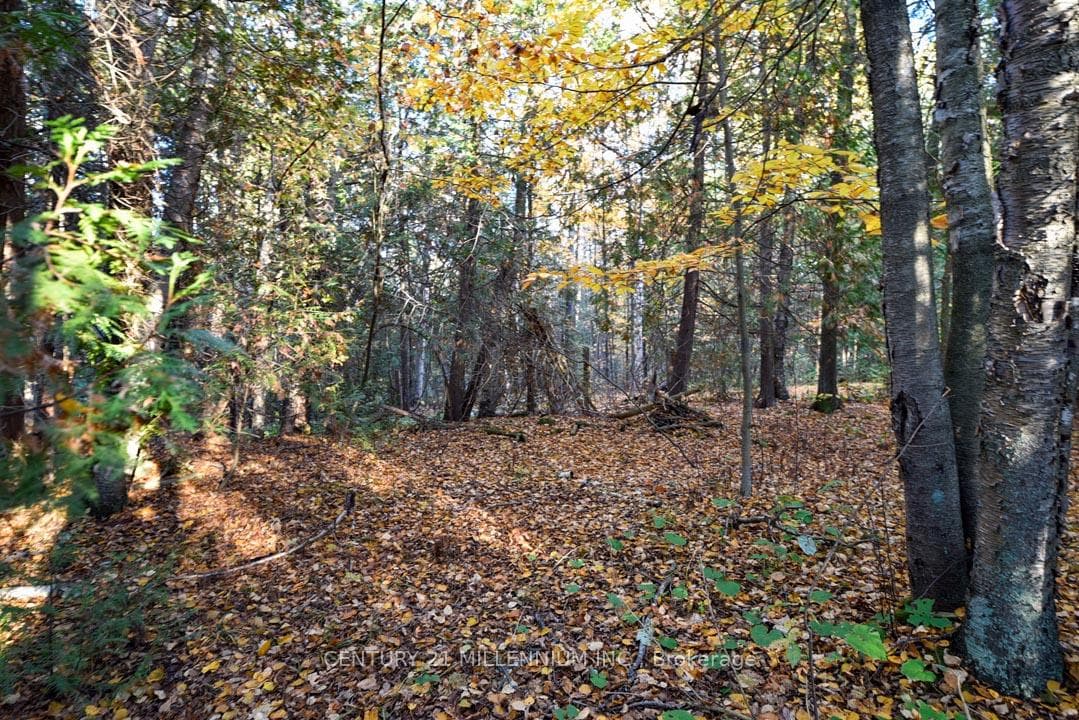 18599 Horseshoe Hill Road - Detached photo 45 of 48 in Caledon, Ontario