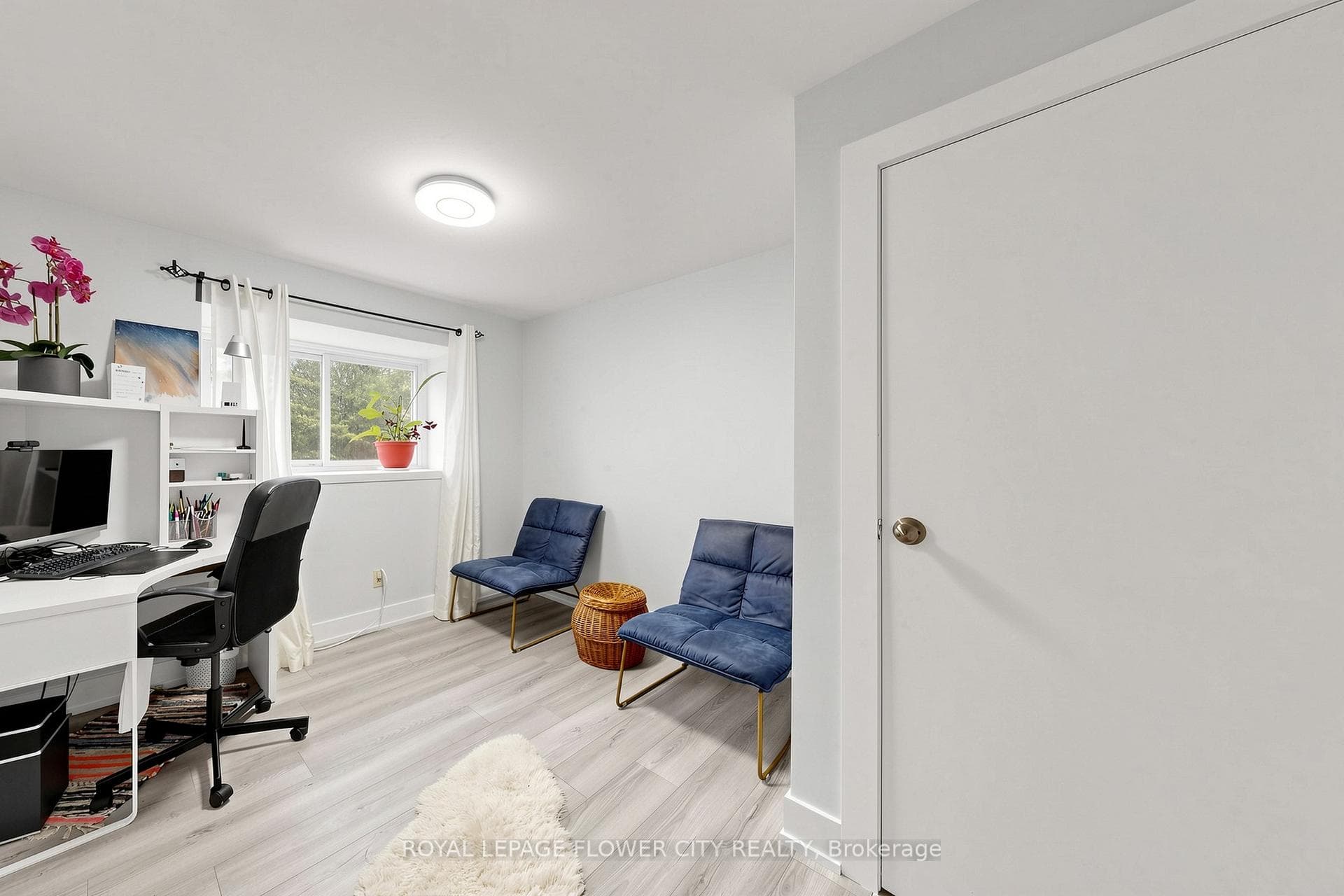 206 Mcmurchy Avenue - Detached photo 34 of 50 in Brampton, Ontario