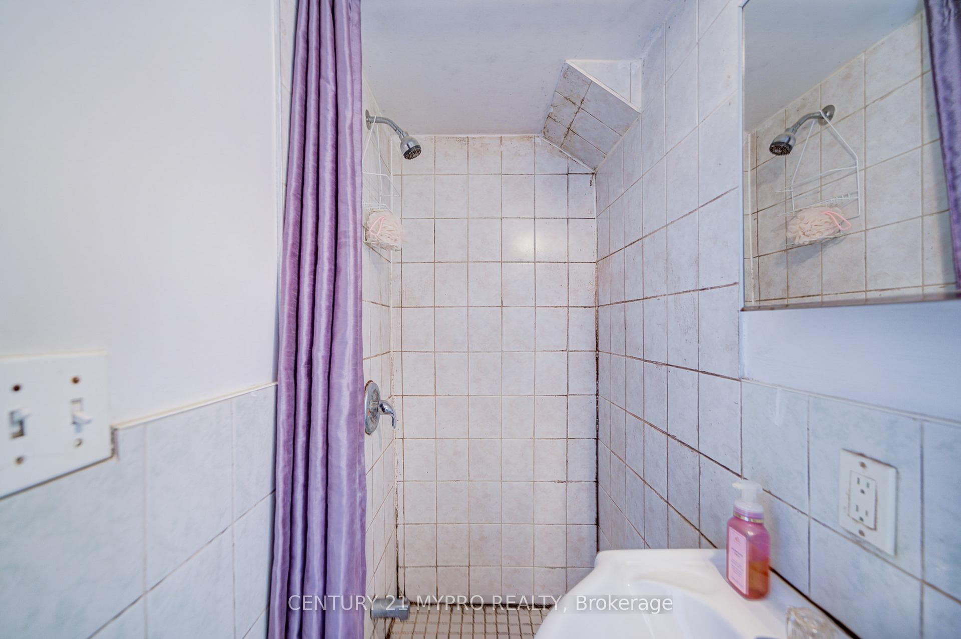 211 Bellwoods Avenue - Detached photo 14 of 50 in Downtown Toronto / Waterfront, Ontario