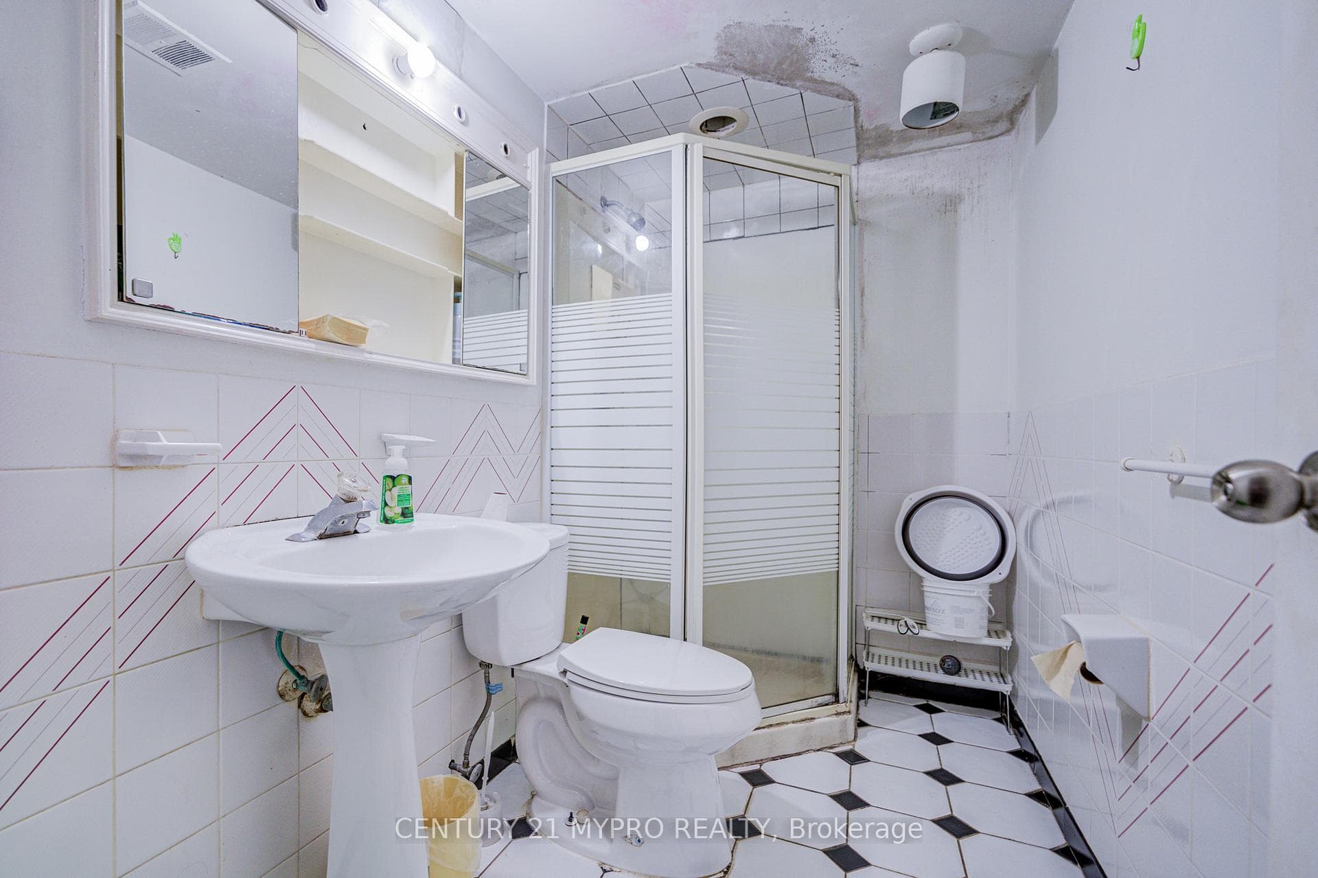 211 Bellwoods Avenue - Detached photo 41 of 50 in Downtown Toronto / Waterfront, Ontario