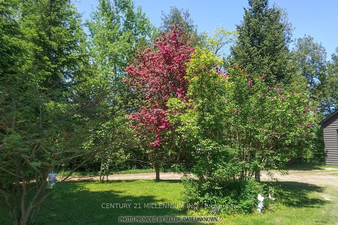18599 Horseshoe Hill Road - Detached photo 12 of 48 in Caledon, Ontario