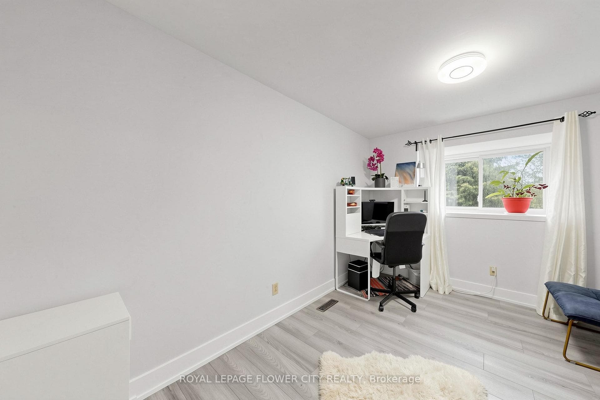 206 Mcmurchy Avenue - Detached photo 33 of 50 in Brampton, Ontario