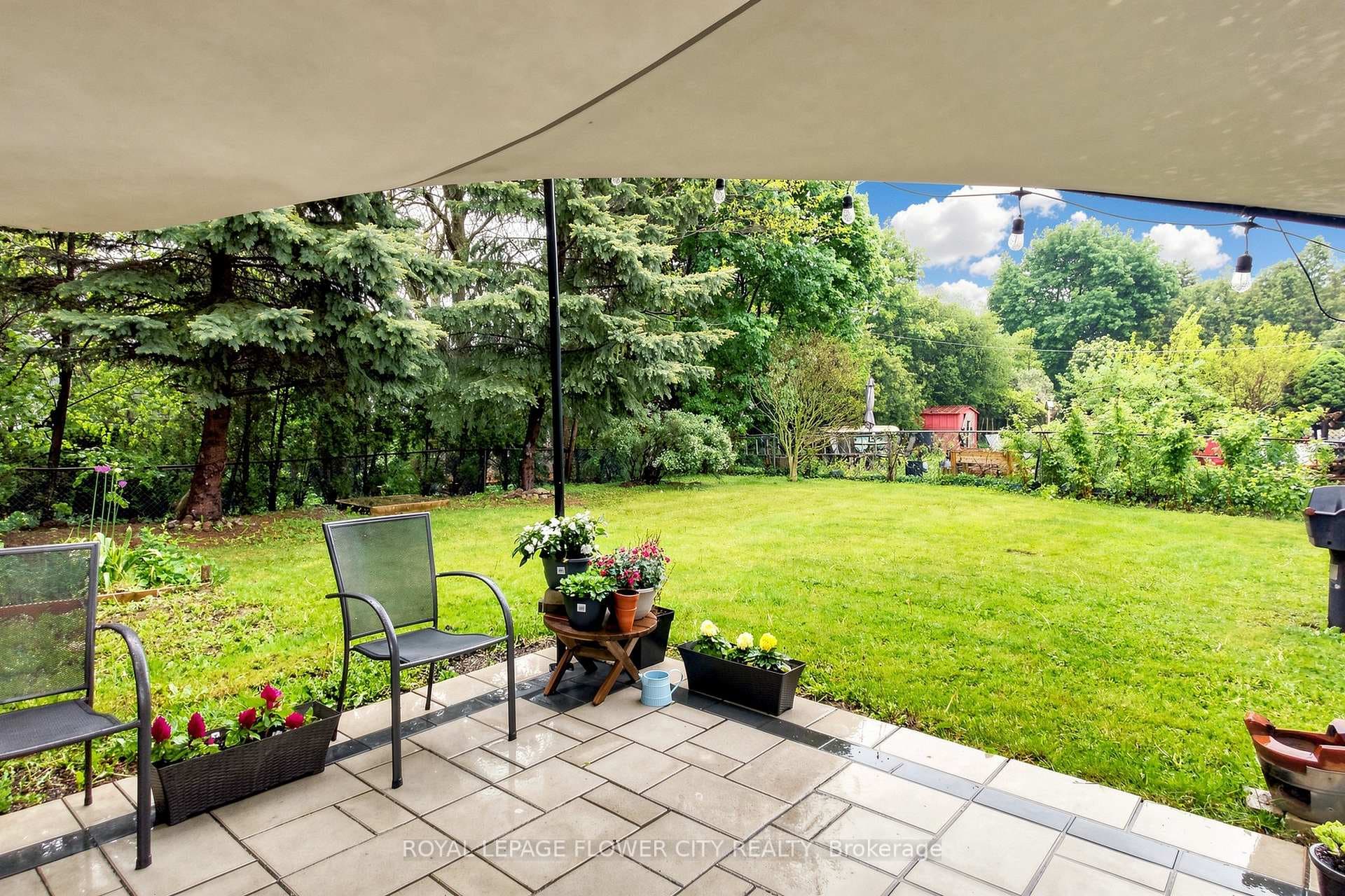206 Mcmurchy Avenue - Detached photo 47 of 50 in Brampton, Ontario